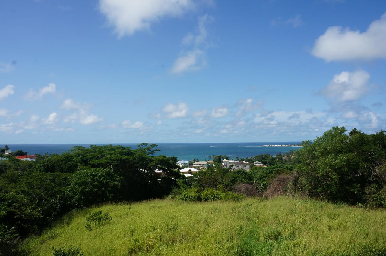 Faith'S Villa Tobago Diamond Exterior photo